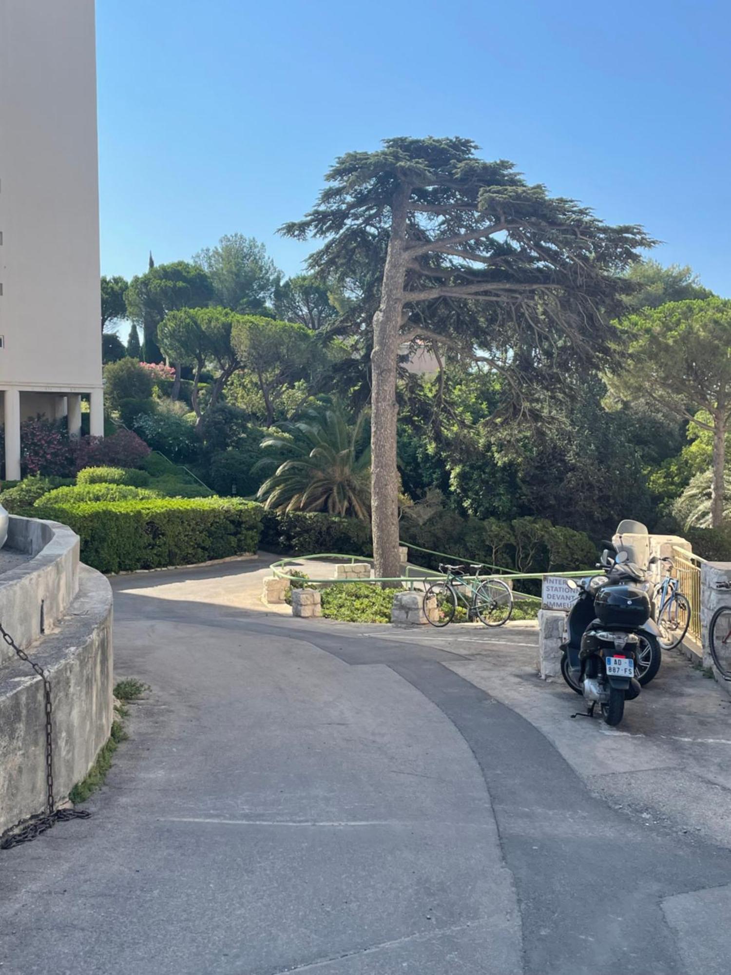 Vu Sur Mer Corniche Lejlighed Marseille Eksteriør billede